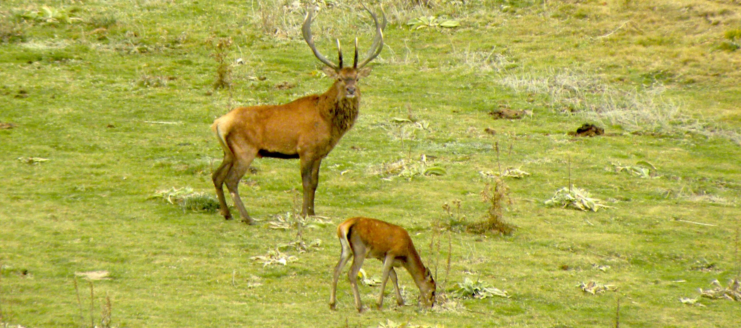 Parco regionale Sirente Velino - Fuori dal Giro